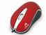 Mysz TRACER TRM-SO18 optyczna Rayon red USB+PS2